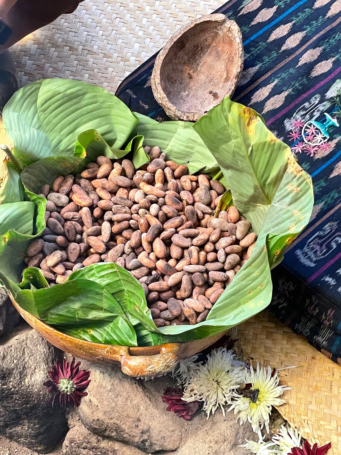 Flavanols in Cacao: How Pure Ceremonial Cacao Boosts Heart Health, Blood Flow, and Inner Peace